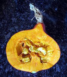 Ambercup squash cut in two.jpg