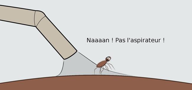 araignée aspirateur
