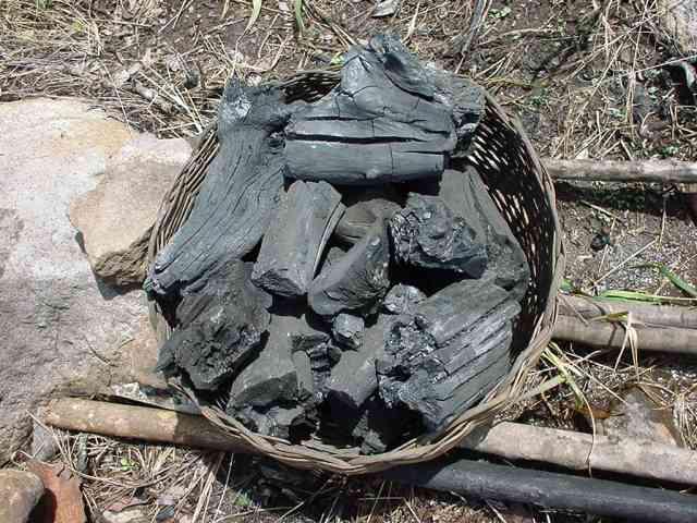 Marchés : Le charbon de bois se vend bien 