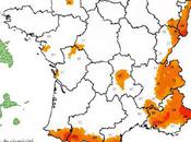 Charly Gabriel Mbock veut décoloniser… France