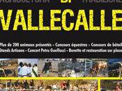 3ème foire agricole artisale Vallecale week-end prochain.