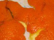 Vous lisez (Robert Sabatier)