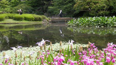 Aux portes du palais ... le parc Kitanomaru ... Japon_2010_2_036