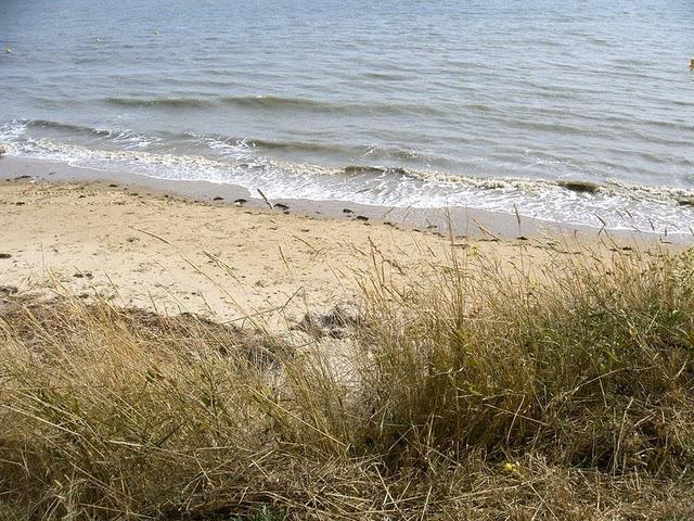 LE PLUS NU DES HOMMES