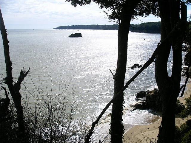 LE PLUS NU DES HOMMES