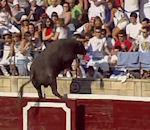 taureau saute dans gradins l'arène Tafalla