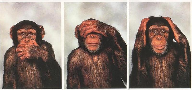 Le Singe, est éveillé (Kabîr)