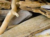 contrebande d’un (Katell Antoine)