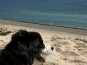 Twitter aurait provoqué mort Franck Ryan