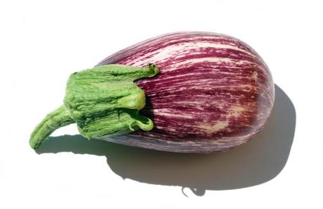 Listada de Gandia eggplant  aubergibe
