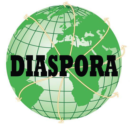 Diaspora camerounaise: les divers visages