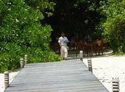 coco palm dhuni kolhu