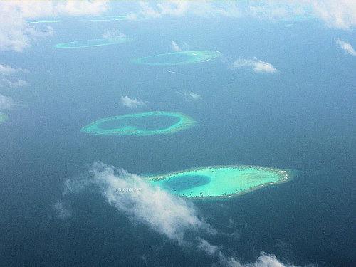 P1010474 [1600x1200]