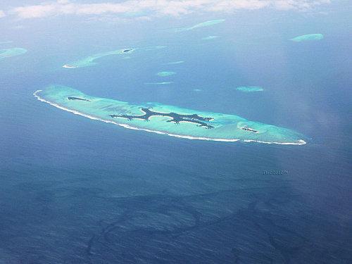 P1040299 [1600x1200]