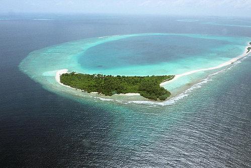 P1010537 [1600x1200]