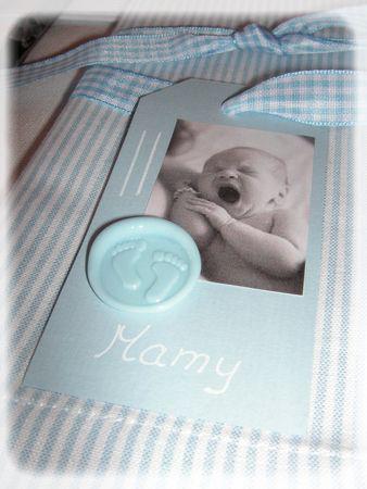 Les garçons naissent dans les choux... bapt_me_016_modifi__1