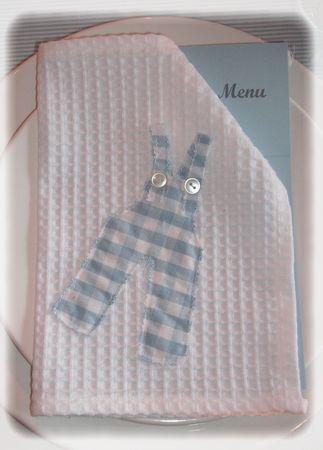 Les garçons naissent dans les choux... bapt_me_024_modifi__1