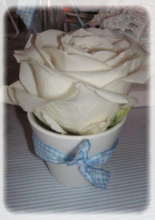 Les garçons naissent dans les choux... bapt_me_008_modifi__1