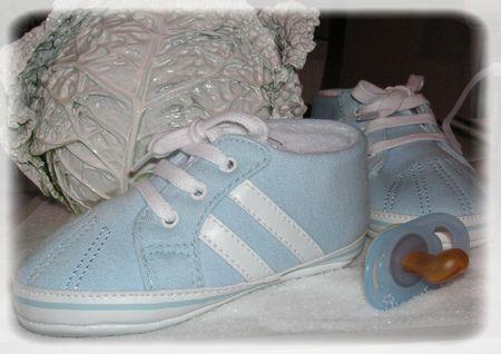 Les garçons naissent dans les choux... bapt_me_054_modifi__1