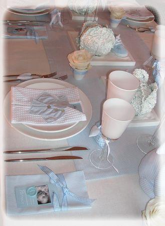 Les garçons naissent dans les choux... bapt_me_031_modifi__1