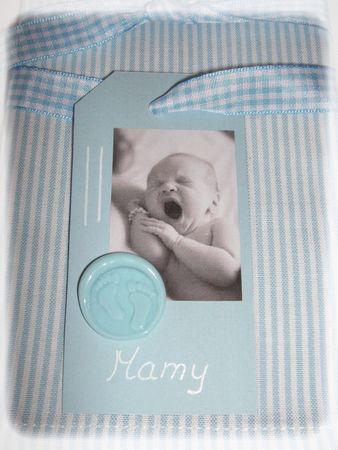 Les garçons naissent dans les choux... bapt_me_014_modifi__1