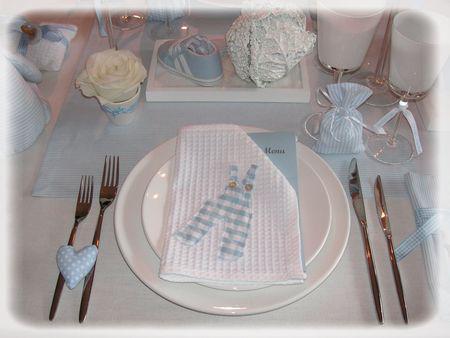 Les garçons naissent dans les choux... bapt_me_045_modifi__1