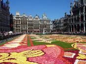 Crikette Bruxelles Errances