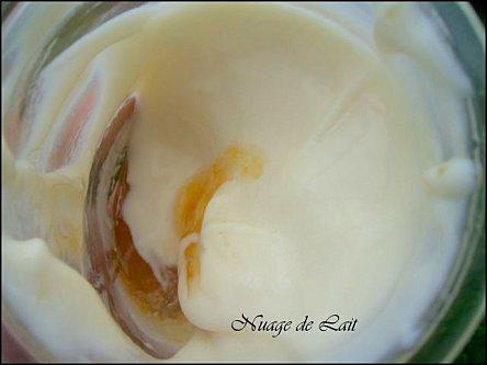 yaourt lavande abricot 001-1