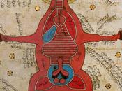 L'IMAGE JOUR: Anatomie d'un cheval