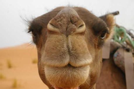 Fin des vacances c’est la rentrée !