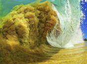 divague (Alain Jégou)