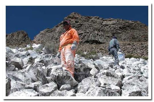 Pérou, une autre solution pour conserver les glaciers