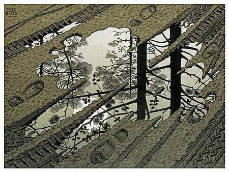 La nuit referme ses bois (Katell Antoine)