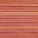 Trois applications de Juicy Bits gratuites cette semaine