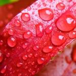 Trois applications de Juicy Bits gratuites cette semaine