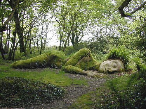 Sleeping Beauty.
Ça pourrait être aussi le nom de ce jardin...