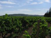 Parce peux aller dans vallée Rhône sans visiter vignobles…