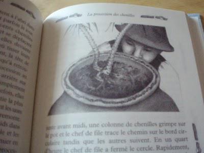 Jean-Henri Fabre, les Enfants de l'été