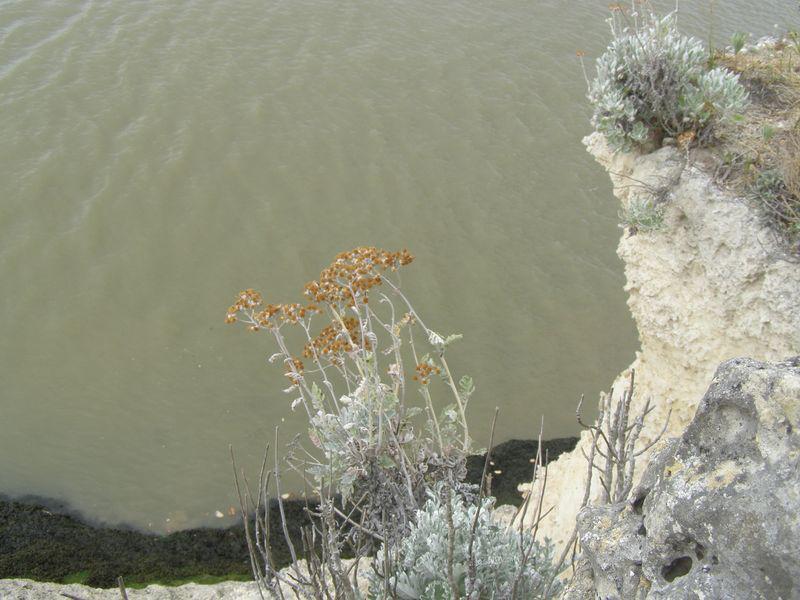 Ta paix sera infinie comme la mer (Pär Lagerkvist)