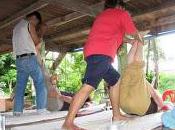Massage Thaïlandais herbes
