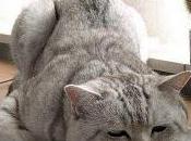 Gardez Mains Sales Hors Junkyard