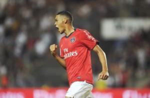 img-schalke-ne-veut-plus-d-hoarau_x300_arton130760 Paris a demandé 20 millions pour Hoarau