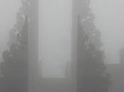 Comment enseigner dualité