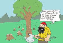 ONF, le feu à la forêt