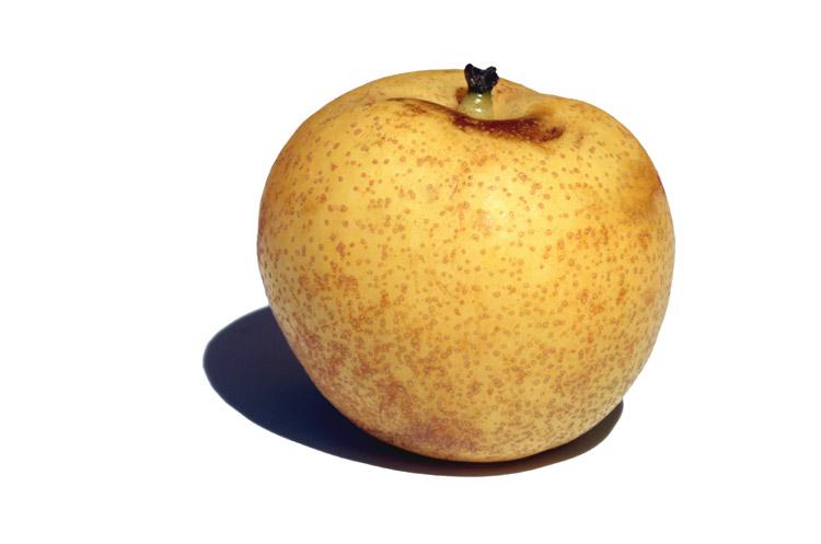 Nashi pear ナシ