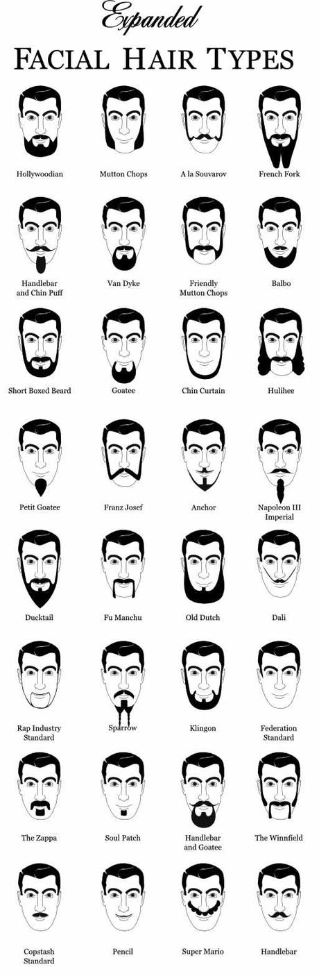 Des moustaches designs et créatives