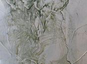 Perpétuer l'espèce, tuer désir..?