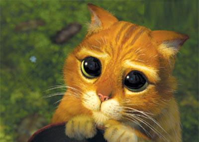 Captiver son auditoire