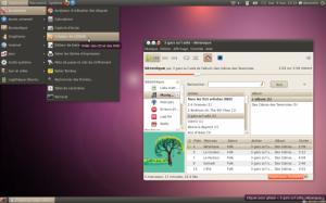Ubuntu 10.04 Et adobe flash plugin firefox