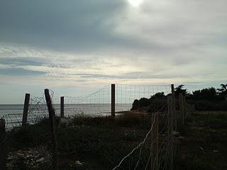 Demain, je rentre au bercail !